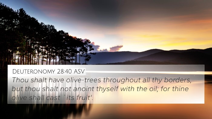 Deuteronomy 28:40 ASV 4K Wallpaper - Thou shalt have olive-trees throughout all thy - 4K Wallpaper Bible Verse