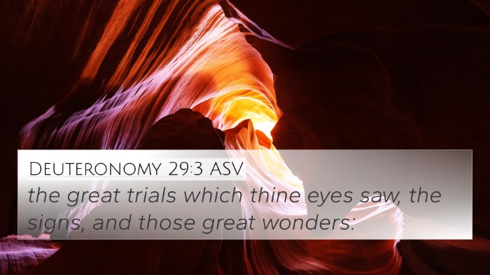 Deuteronomy 29:3 ASV Bible Verse Image