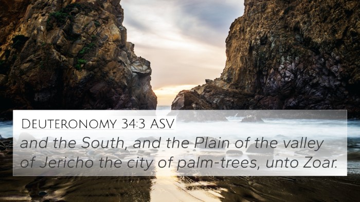 Deuteronomy 34:3 ASV Bible Verse Image