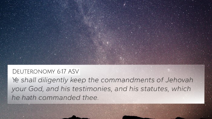 Deuteronomy 6:17 ASV Bible Verse Image