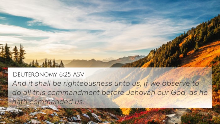 Deuteronomy 6:25 ASV Bible Verse Image