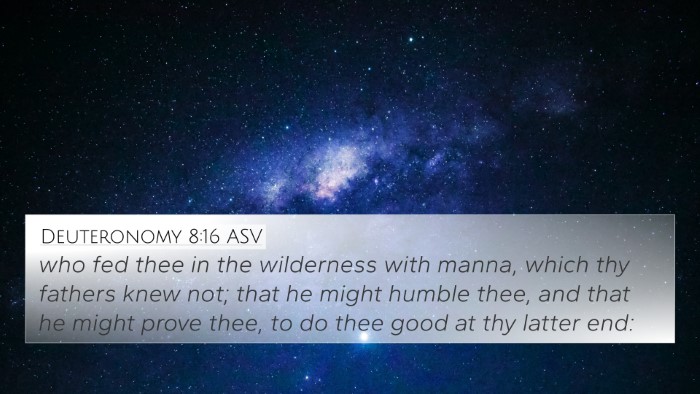 Deuteronomy 8:16 ASV Bible Verse Image