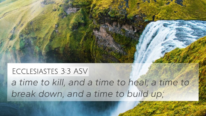 Ecclesiastes 3:3 ASV 4K Wallpaper - a time to kill, and a time to heal; a time to - 4K Wallpaper Bible Verse