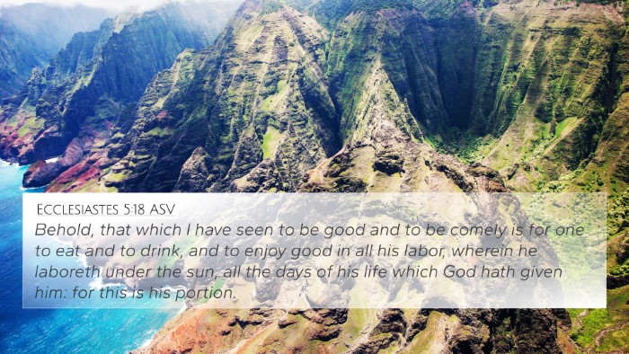 Ecclesiastes 5:18 ASV Bible Verse Image