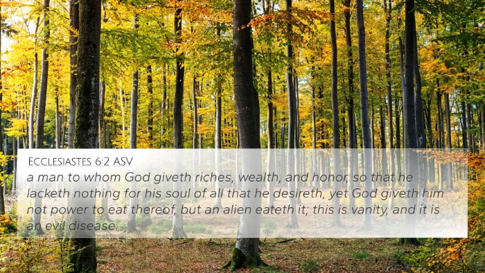 Ecclesiastes 6:2 ASV Bible Verse Image