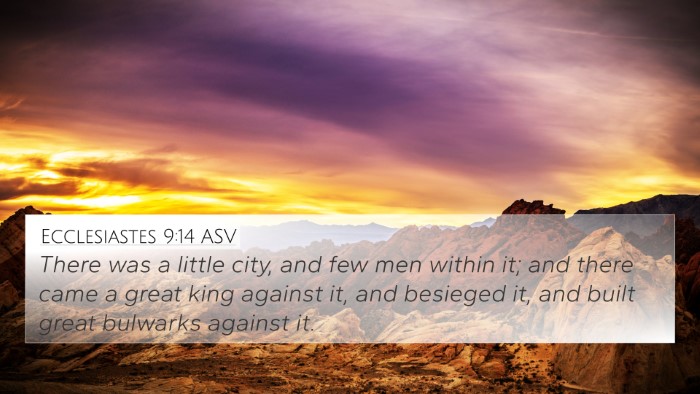Ecclesiastes 9:14 ASV Bible Verse Image