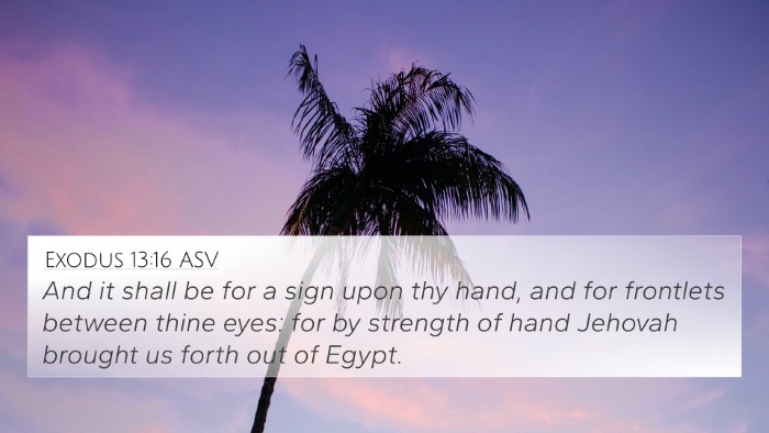 Exodus 13:16 ASV Bible Verse Image