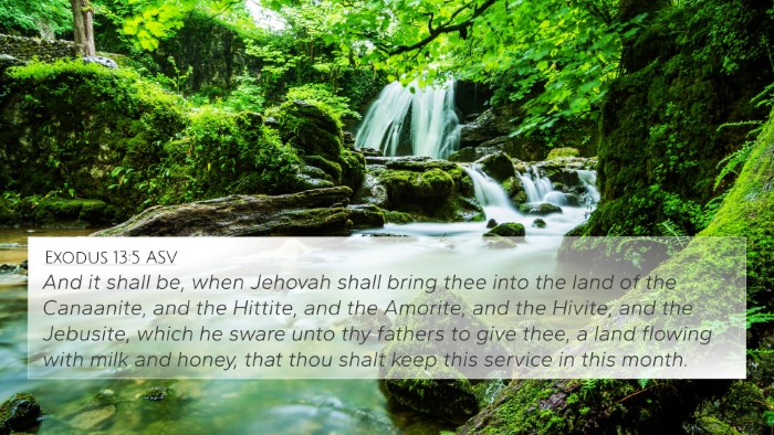 Exodus 13:5 ASV Bible Verse Image