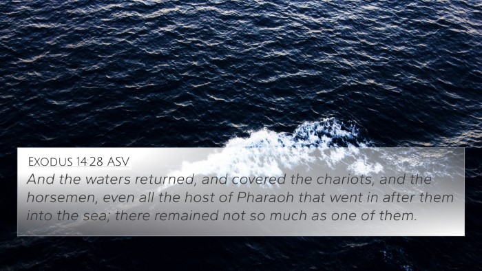 Exodus 14:28 ASV Bible Verse Image