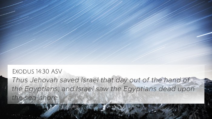 Exodus 14:30 ASV Bible Verse Image