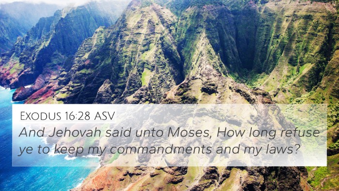 Exodus 16:28 ASV Bible Verse Image