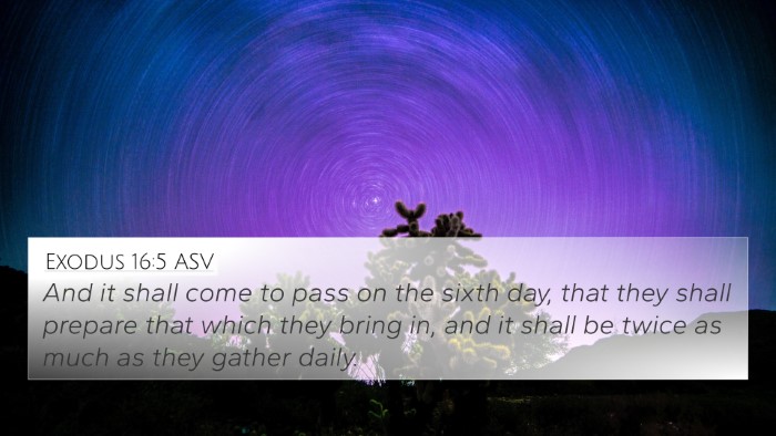 Exodus 16:5 ASV 4K Wallpaper - And it shall come to pass on the sixth day, that - 4K Wallpaper Bible Verse