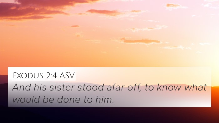 Exodus 2:4 ASV 4K Wallpaper - And his sister stood afar off, to know what would - 4K Wallpaper Bible Verse