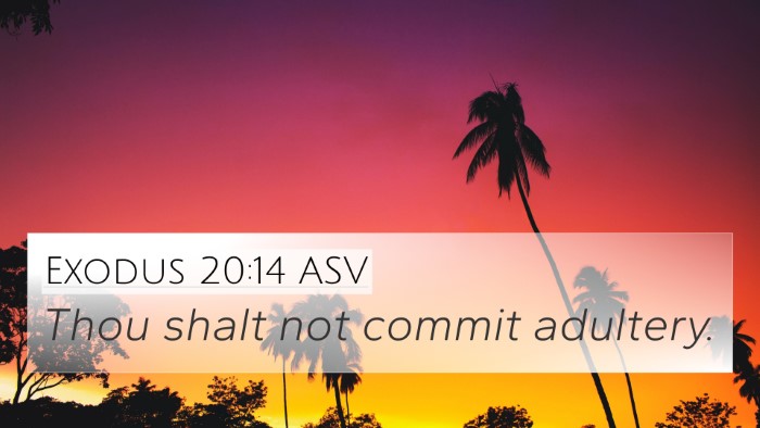 Exodus 20:14 ASV Bible Verse Image