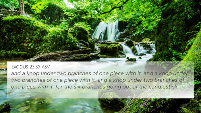 Exodus 25:35 ASV Bible Verse Image