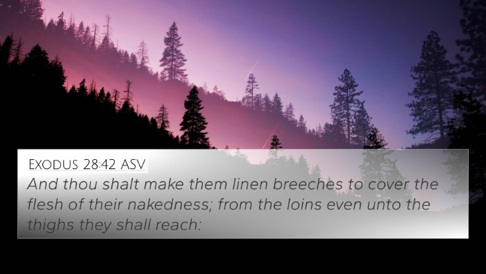 Exodus 28:42 ASV 4K Wallpaper - And thou shalt make them linen breeches to cover - 4K Wallpaper Bible Verse