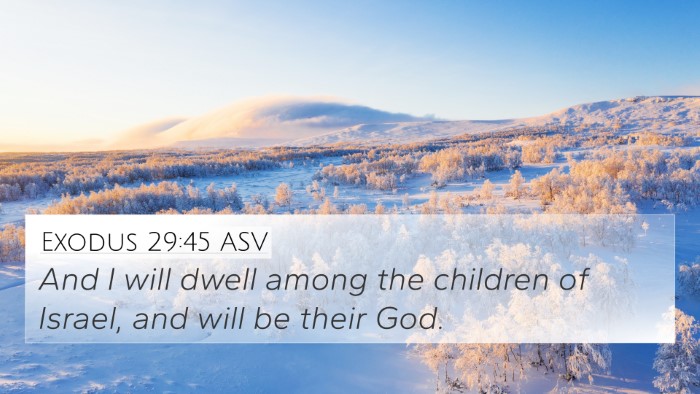 Exodus 29:45 ASV Bible Verse Image