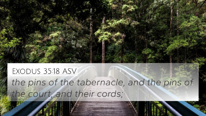 Exodus 35:18 ASV 4K Wallpaper - the pins of the tabernacle, and the pins of the - 4K Wallpaper Bible Verse