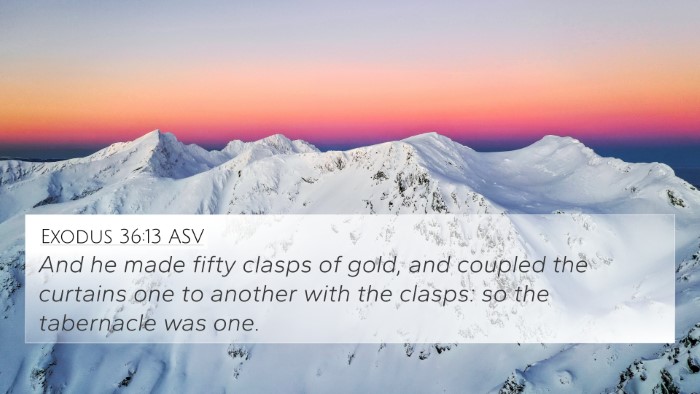 Exodus 36:13 ASV Bible Verse Image
