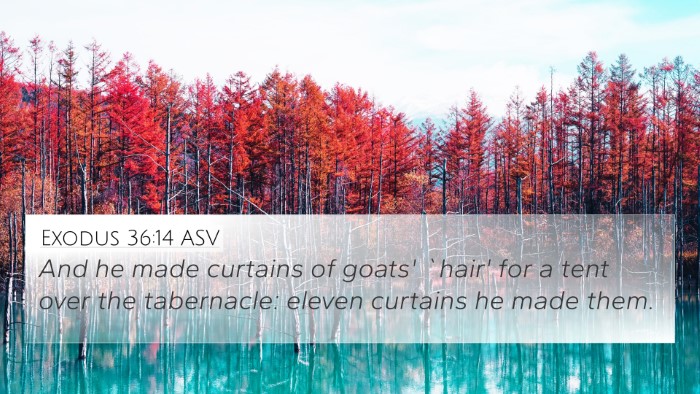 Exodus 36:14 ASV Bible Verse Image