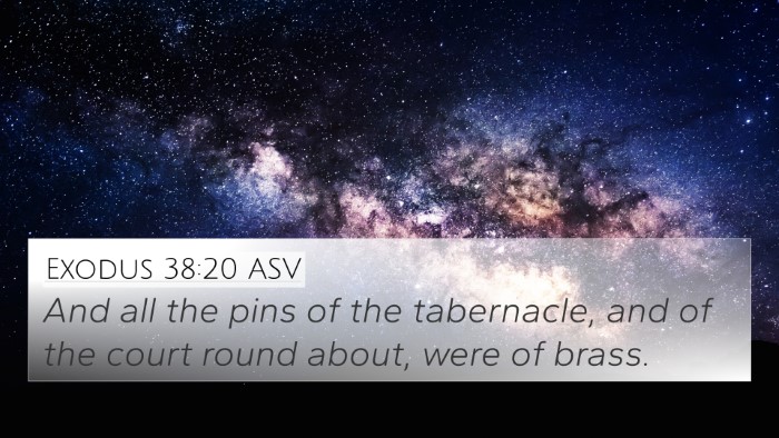 Exodus 38:20 ASV 4K Wallpaper - And all the pins of the tabernacle, and of the - 4K Wallpaper Bible Verse