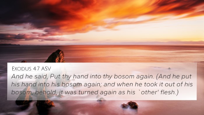 Exodus 4:7 ASV Bible Verse Image