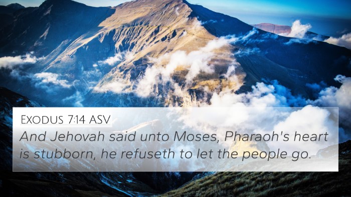 Exodus 7:14 ASV Bible Verse Image
