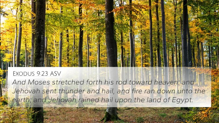 Exodus 9:23 ASV Bible Verse Image