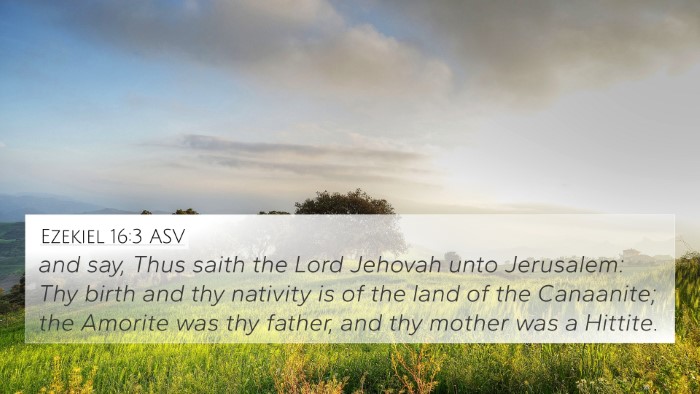 Ezekiel 16:3 ASV Bible Verse Image