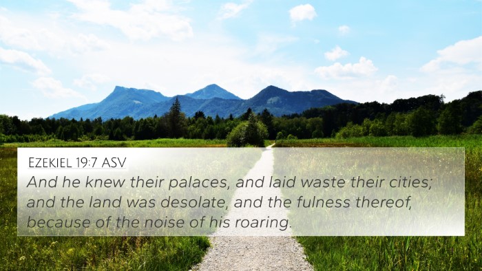 Ezekiel 19:7 ASV 4K Wallpaper - And he knew their palaces, and laid waste their - 4K Wallpaper Bible Verse