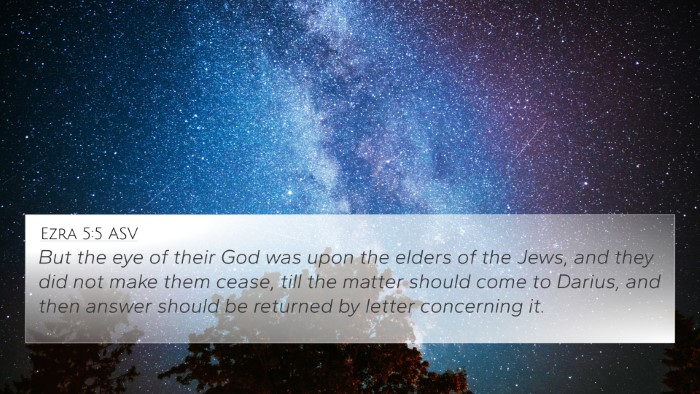 Ezra 5:5 ASV Bible Verse Image