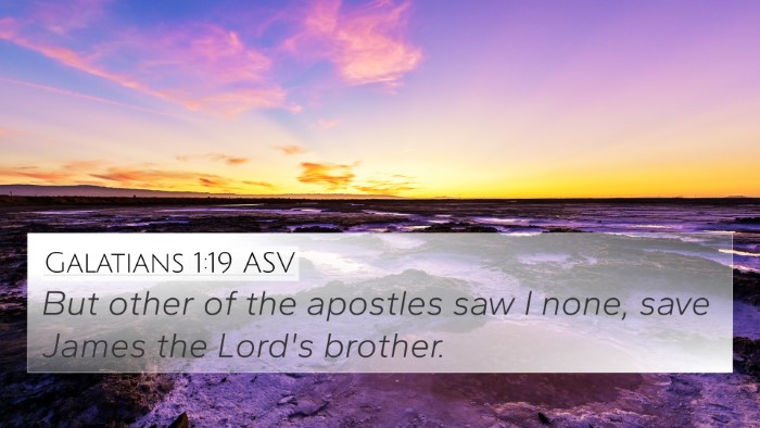 Galatians 1:19 ASV Bible Verse Image