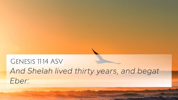 Genesis 11:14 ASV 4K Wallpaper - And Shelah lived thirty years, and begat - 4K Wallpaper Bible Verse