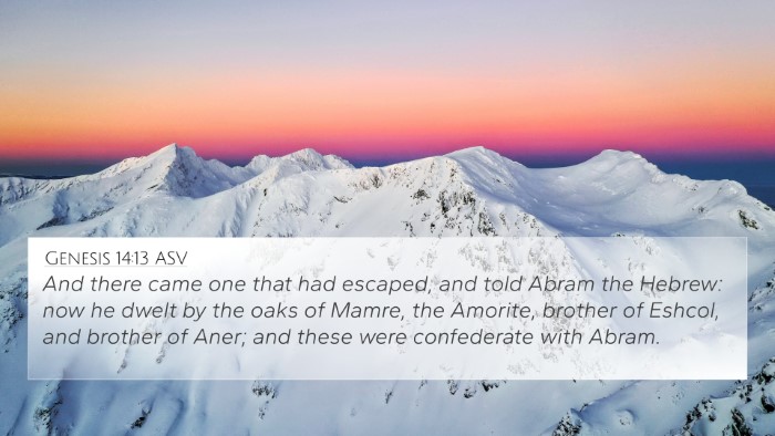Genesis 14:13 ASV Bible Verse Image