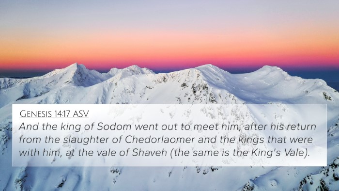 Genesis 14:17 ASV Bible Verse Image