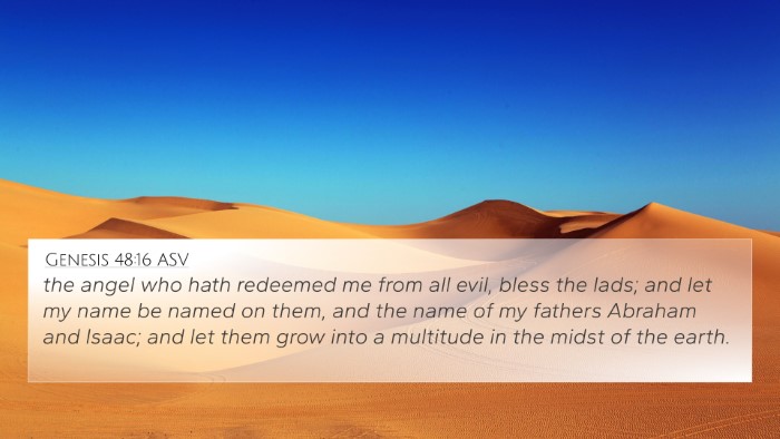 Genesis 48:16 ASV Bible Verse Image