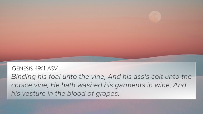 Genesis 49:11 ASV Bible Verse Image