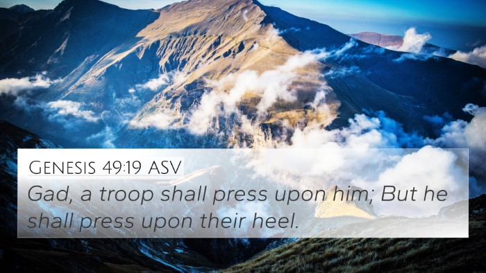 Genesis 49:19 ASV Bible Verse Image