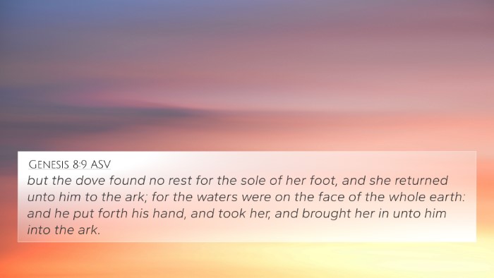 Genesis 8:9 ASV Bible Verse Image