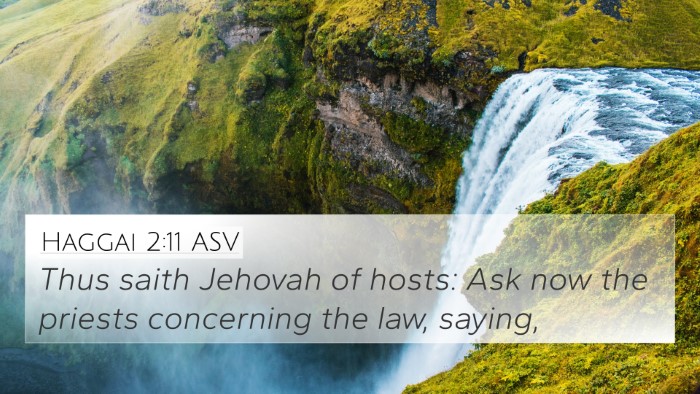 Haggai 2:11 ASV 4K Wallpaper - Thus saith Jehovah of hosts: Ask now the priests - 4K Wallpaper Bible Verse