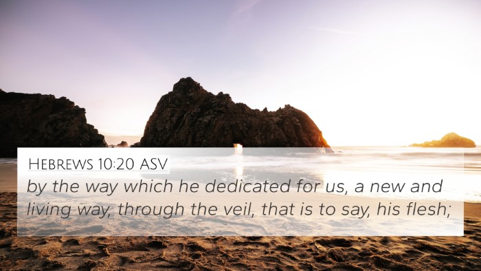 Hebrews 10:20 ASV Bible Verse Image