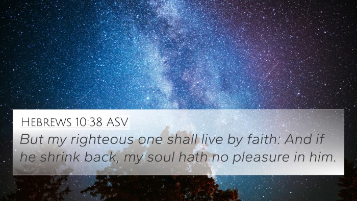 Hebrews 10:38 ASV Bible Verse Image