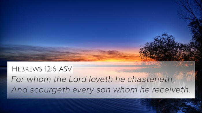 Hebrews 12:6 ASV Bible Verse Image