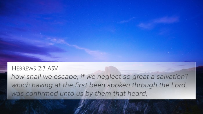 Hebrews 2:3 ASV Bible Verse Image