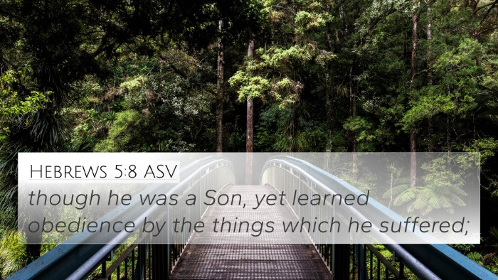 Hebrews 5:8 ASV Bible Verse Image