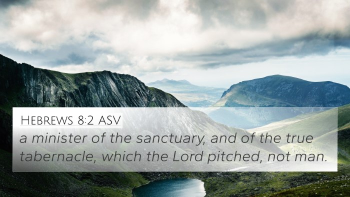 Hebrews 8:2 ASV Bible Verse Image