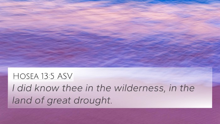 Hosea 13:5 ASV Bible Verse Image