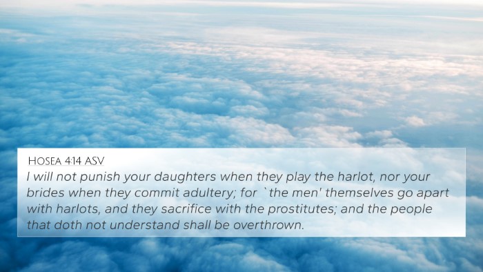 Hosea 4:14 ASV Bible Verse Image