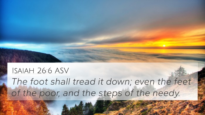 Isaiah 26:6 ASV 4K Wallpaper - The foot shall tread it down; even the feet of - 4K Wallpaper Bible Verse