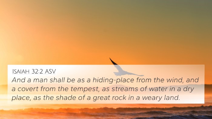 Isaiah 32:2 ASV Bible Verse Image